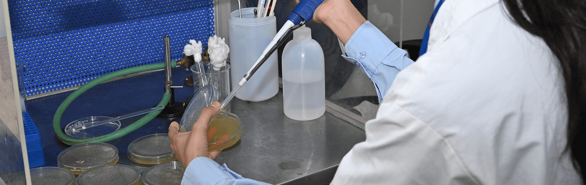 Ph.D. in Chemical Engineering