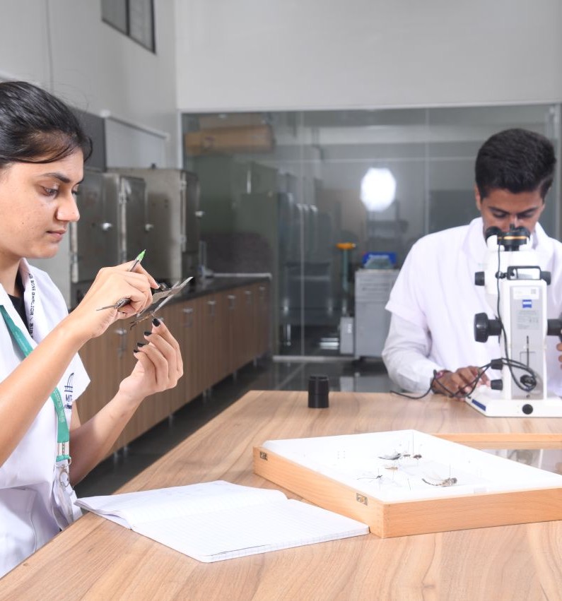 Ph.D. in Environmental Science