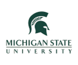 michigan-state