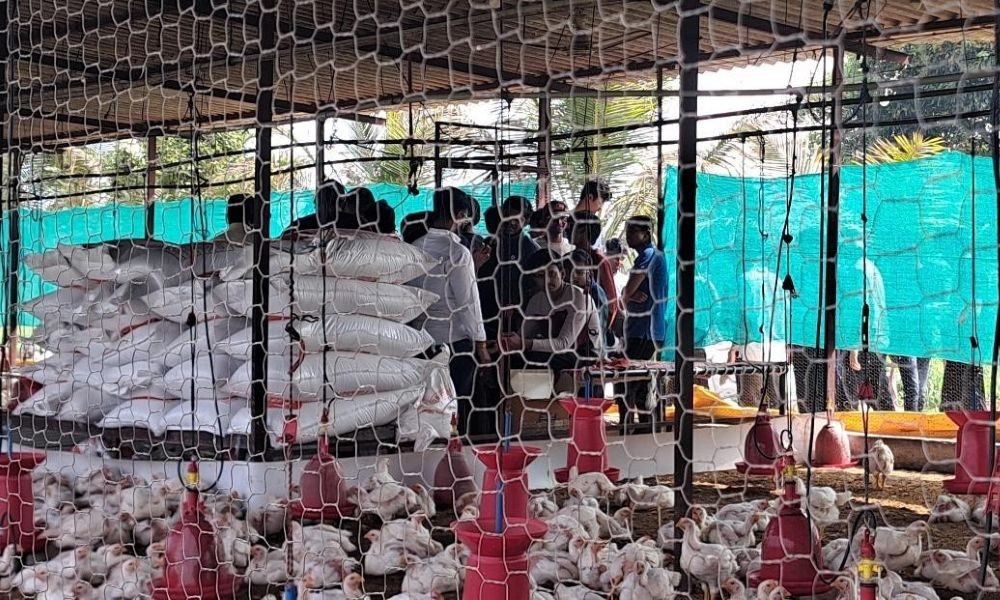 rural-immersion-program-4